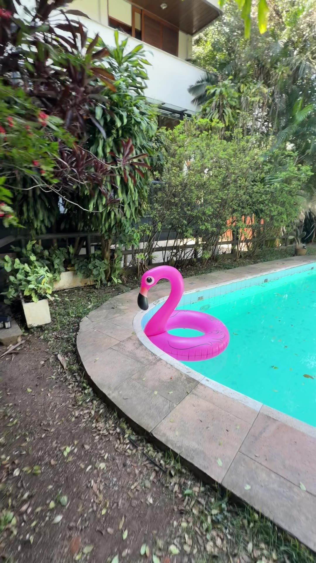 Área externa & piscina